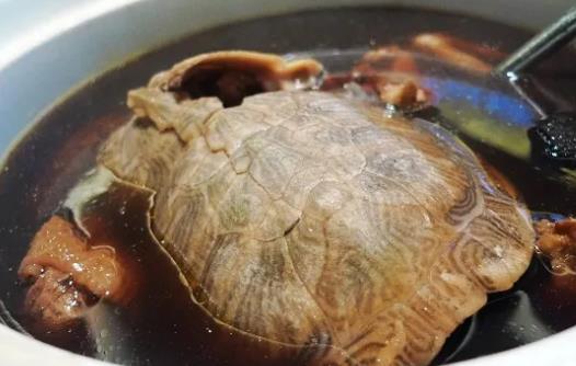 哪些人適合吃烏龜肉?烏龜可以怎么吃?
