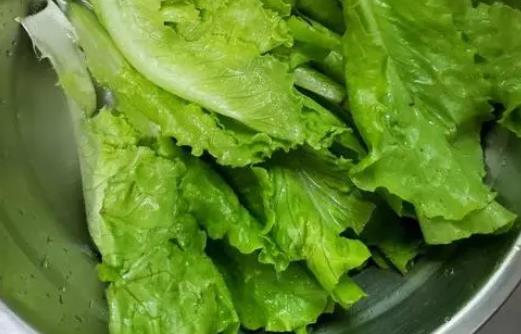 孕婦可以吃生菜嗎?吃生菜有哪些功效?
