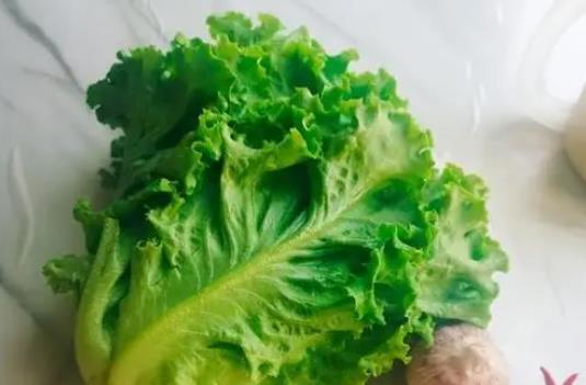 孕婦可以吃生菜嗎?吃生菜有哪些功效?