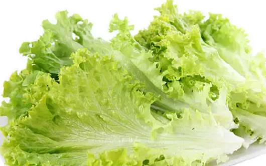 生菜可以減肥嗎?生菜有點(diǎn)苦可以吃嗎?