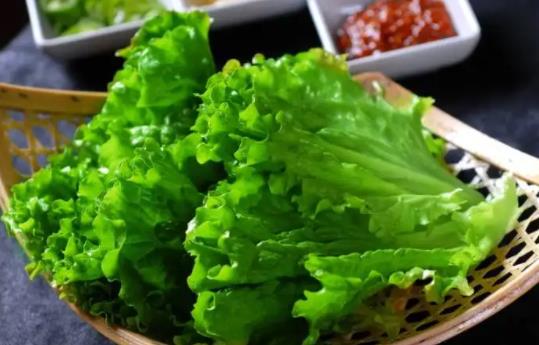 經期可以吃生菜嗎?吃生菜需要注意什么?
