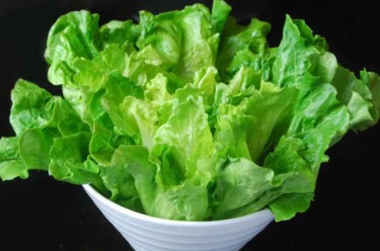 生菜可以減肥嗎?生菜有點(diǎn)苦可以吃嗎?