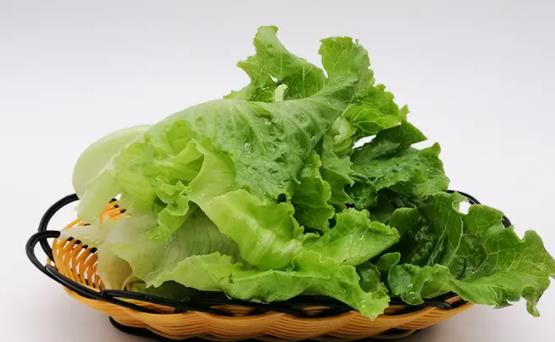 經期可以吃生菜嗎?吃生菜需要注意什么?