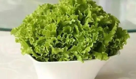 寶寶可以吃生菜嗎?多大的寶寶可以吃生菜?