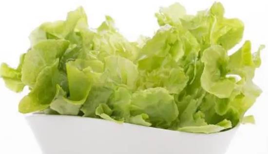 寶寶可以吃生菜嗎?多大的寶寶可以吃生菜?