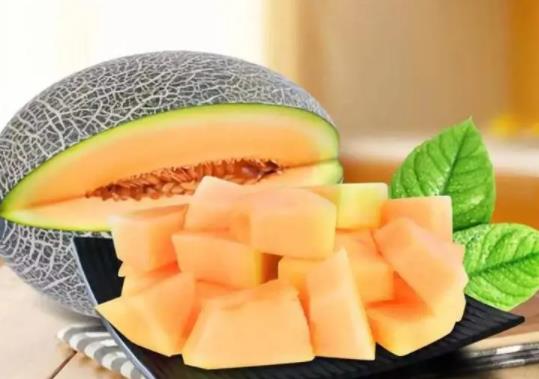 怎么看哈密瓜甜不甜?嗓子疼吃哈密瓜會不會更嚴(yán)重