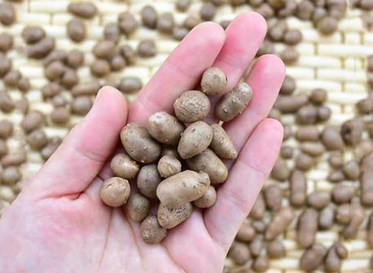 山藥豆連皮吃有什么好處?山藥豆可以帶皮一起吃嗎