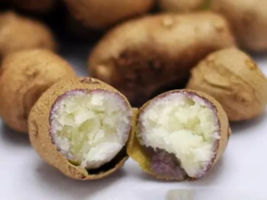 山藥與山藥豆哪個(gè)營(yíng)養(yǎng)高?山藥豆可代替山藥嗎