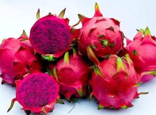為什么吃紅心火龍果尿液會變紅?火龍果可以放多久