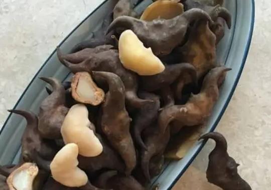 菱角煮到怎么樣算熟了?菱角能不能生吃
