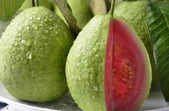 芭樂可以降血糖嗎?芭樂可以吃籽嗎?