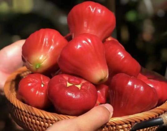 蓮霧和腰果有關(guān)系嗎?蓮霧是什么味道的