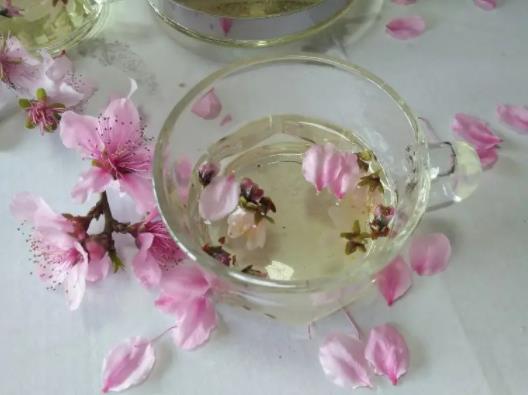 桃花茶早上喝好還是晚上喝好?桃花茶一天喝幾次才合適