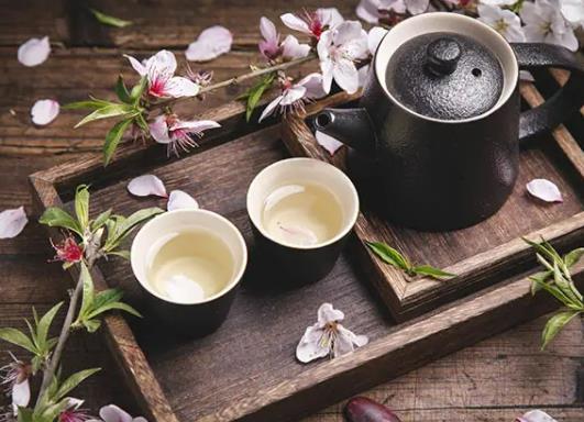 桃花茶早上喝好還是晚上喝好?桃花茶一天喝幾次才合適