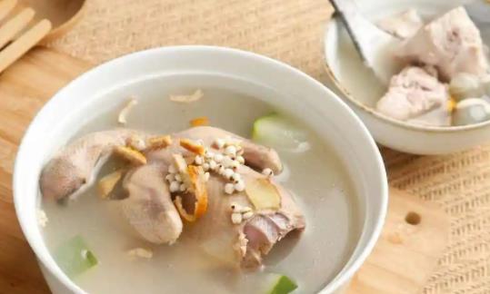 喝鴿子湯的注意事項(xiàng)有什么?鴿子湯適合放什么食材?