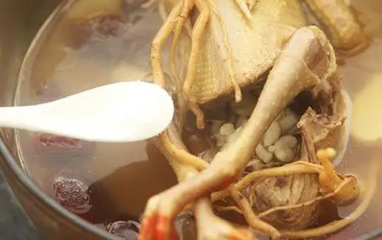 清燉鴿子怎么做有營(yíng)養(yǎng)?鴿子湯喝多了會(huì)不會(huì)發(fā)胖?