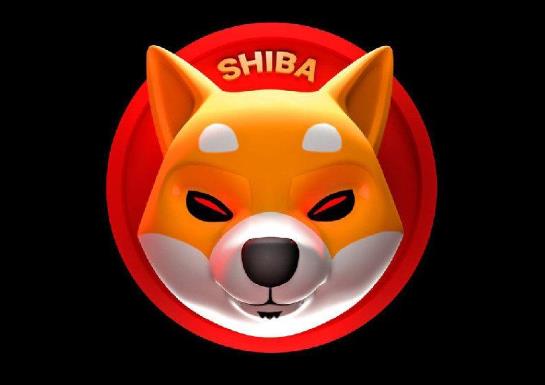 shib幣會是下一個千倍幣嗎?馬斯克買了多少shib幣?