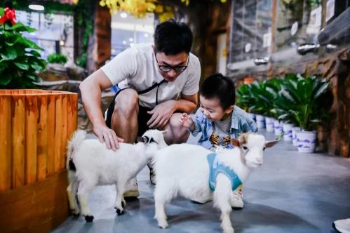 全國萬達廣場邁入400+時代,“萬達速度”馳騁不平凡