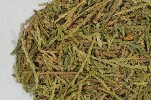 女性脫發(fā)很害怕 介紹中醫(yī)治療脫發(fā)十大偏方