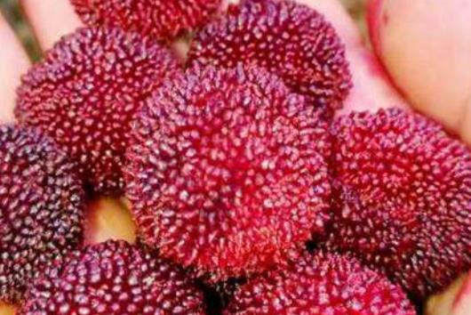 夏季吃3種水果皮膚好 水果又是公認的美容之王
