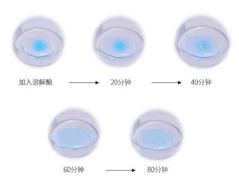 玻菲玻尿酸,駐顏逆齡領(lǐng)導(dǎo)者