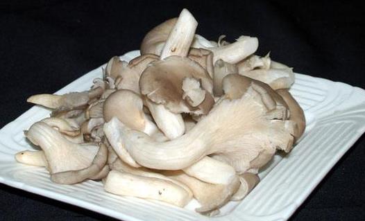 春季減肥 吃5款菌菇食譜健康減肥