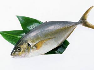 魚刺卡在喉嚨里怎么辦？取喉嚨魚刺技巧