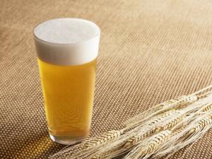 適度飲酒有助于預防關節(jié)炎