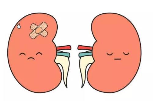 得了腎結(jié)石怎么辦?腎結(jié)石需要注意什么?患腎結(jié)石的原因