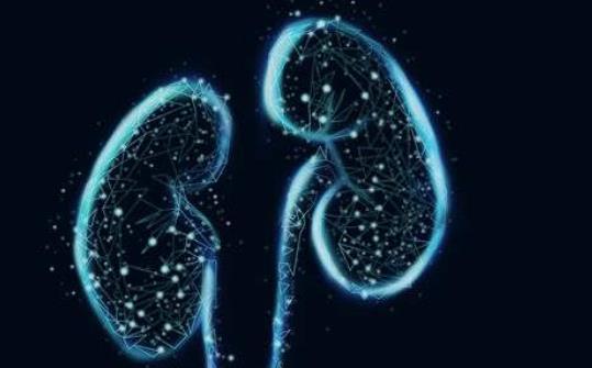 膽管癌的病因有哪些?患膽管癌有哪些并發(fā)癥?
