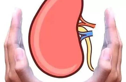 尿道炎的早期癥狀有哪些?尿道炎有哪些危害?