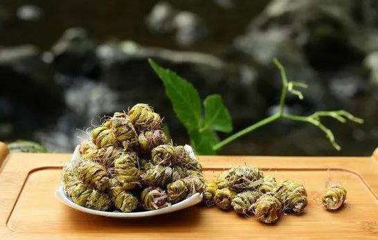 什么是石斛?怎么挑選石斛?