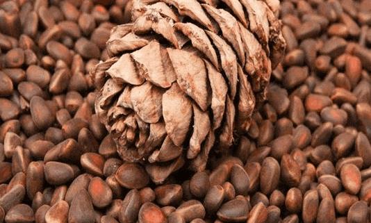 松子吃多了會上火嗎?吃松子有哪些好處?