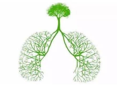 肺結(jié)核和感冒的區(qū)別是什么?肺結(jié)核的危害