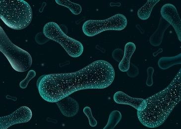 長(zhǎng)期加班熬夜微生態(tài)紊亂?lifespace益生菌幫你改善