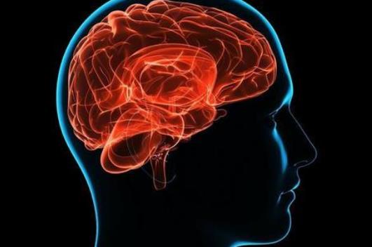 哪些疾病會(huì)引起腦供血不足?腦供血不足怎么調(diào)理?