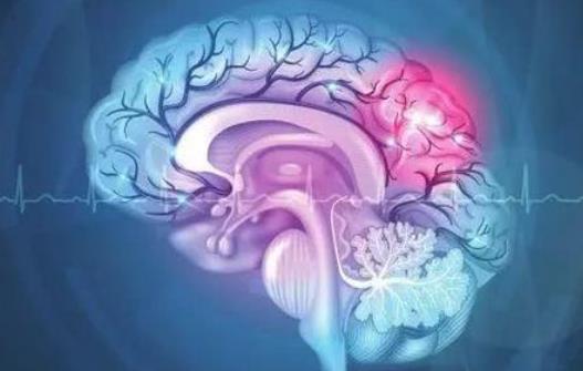 哪些疾病會(huì)引起腦供血不足?腦供血不足怎么調(diào)理?