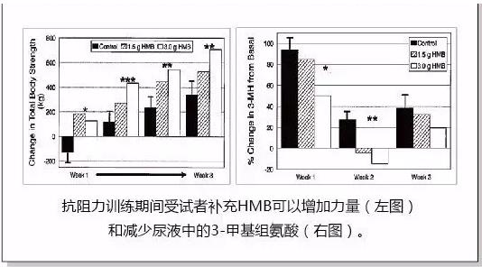 十年磨一劍,HMB不改初心守護老年人肌肉健康