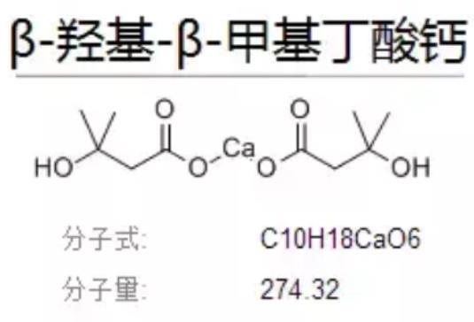十年磨一劍,HMB不改初心守護老年人肌肉健康