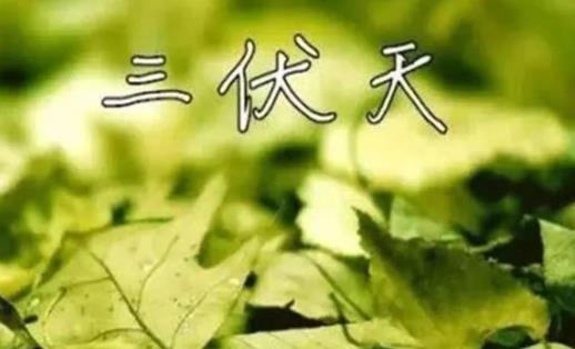 三伏天坐月子一定要穿長袖長褲嗎 三伏天吃冰的真的很影響身體嗎