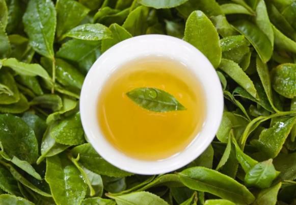 每次喝綠茶放多少好一點?綠茶有沒有降火的效果