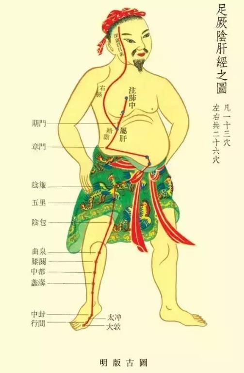 肝經(jīng)的準(zhǔn)確位置圖 肝經(jīng)不通的癥狀