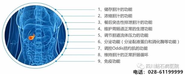 還在猶豫“切膽”還是“保膽”?四川結(jié)石病醫(yī)院告訴你答案!