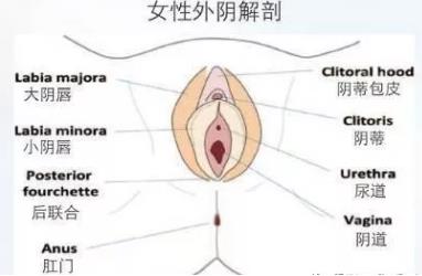 昆明陰唇縮小術(shù)?陰唇整形怎么做?