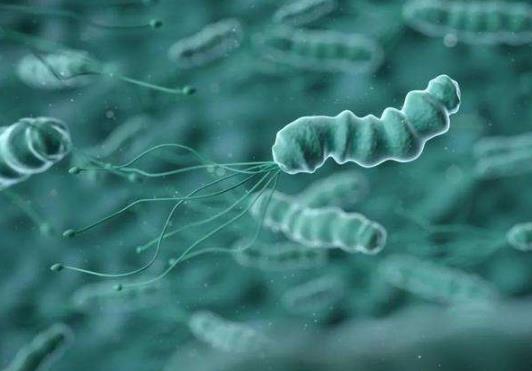 幽門螺桿菌好了還會(huì)再感染嗎?幽門螺桿菌一般存在于哪里