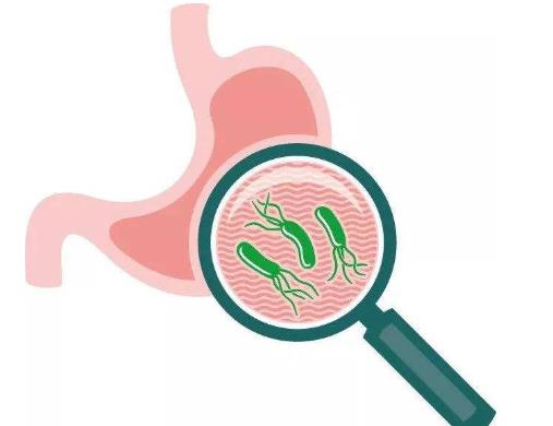 幽門螺桿菌好了還會(huì)再感染嗎?幽門螺桿菌一般存在于哪里