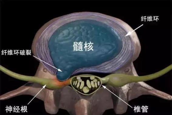 重慶紅樓醫(yī)院骨科收費高嗎_評價好不好_對癥治療醫(yī)術精湛