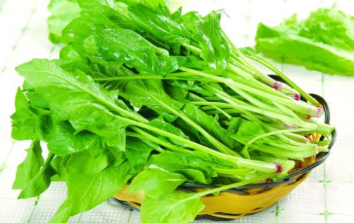 什么疾病會導(dǎo)致經(jīng)常流鼻血 天氣干燥流鼻血怎么辦
