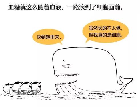 漫畫科普-糖尿病治療新模式