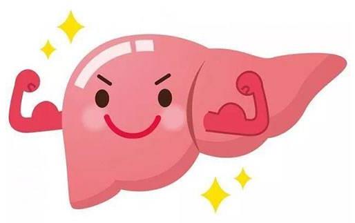 春季養(yǎng)肝多吃6種平價養(yǎng)肝食物 少喝酒少熬夜多喝水